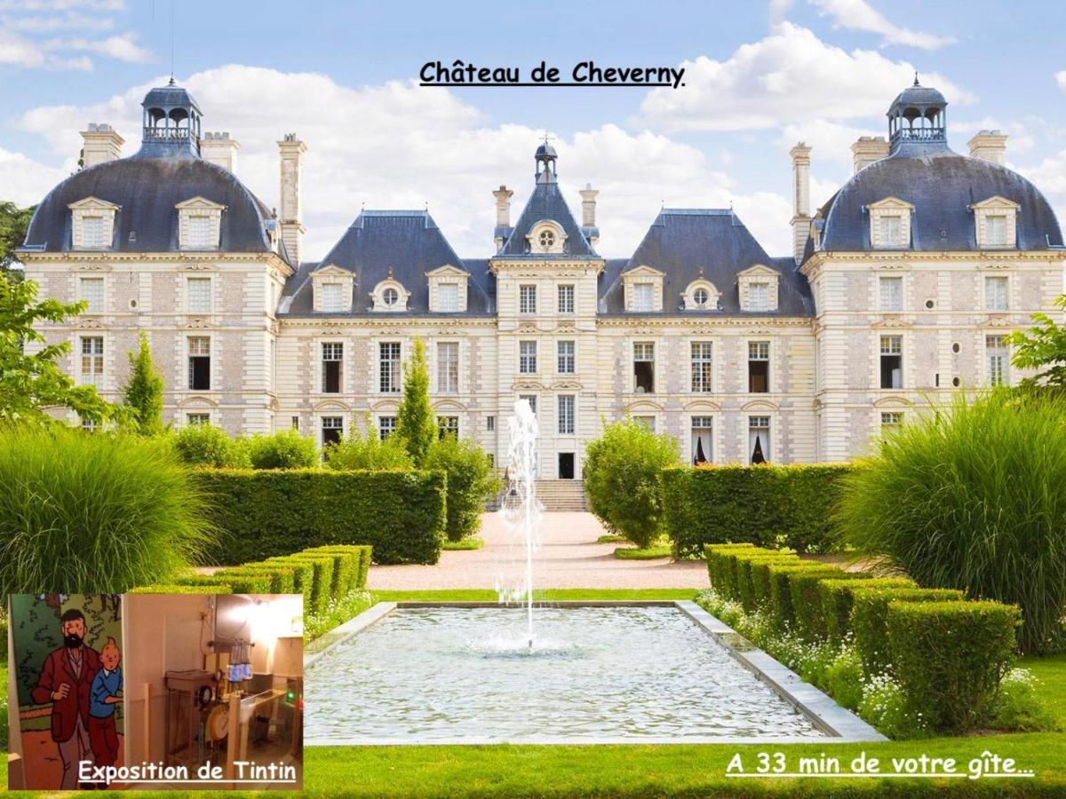 La Porte Aux Dames Romorantin-Lanthenay Exterior photo